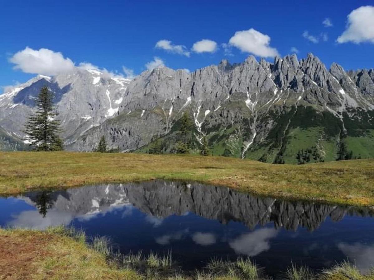 Gut Stein Panoramalodge Mühlbach am Hochkönig Eksteriør bilde